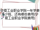 宁夏工业职业学院一年学费多少钱，还有哪些费用(宁夏工业职业学院费用)