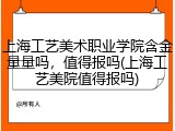 上海工艺美术职业学院含金量量吗，值得报吗(上海工艺美院值得报吗)