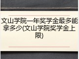 文山学院一年奖学金最多能拿多少(文山学院奖学金上限)