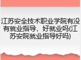 江苏安全技术职业学院有没有就业指导，好就业吗(江苏安院就业指导好吗)