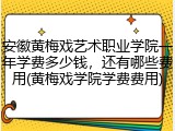 安徽黄梅戏艺术职业学院一年学费多少钱，还有哪些费用(黄梅戏学院学费费用)