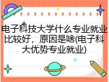 电子科技大学什么专业就业比较好，原因是啥(电子科大优势专业就业)