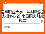 南昌职业大学一年财政拨款大概多少钱(南昌职大财政拨款)