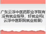广东云浮中医药职业学院有没有就业指导，好就业吗(云浮中医职院就业前景)
