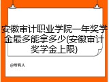 安徽审计职业学院一年奖学金最多能拿多少(安徽审计奖学金上限)