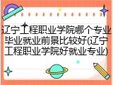 辽宁工程职业学院哪个专业毕业就业前景比较好(辽宁工程职业学院好就业专业)