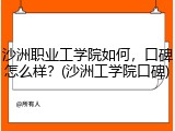 沙洲职业工学院如何，口碑怎么样？(沙洲工学院口碑)
