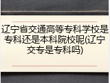 辽宁省交通高等专科学校是专科还是本科院校呢(辽宁交专是专科吗)