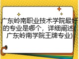 广东岭南职业技术学院最好的专业是哪个，详细阐述(广东岭南学院王牌专业)