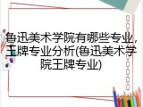 鲁迅美术学院有哪些专业，王牌专业分析(鲁迅美术学院王牌专业)