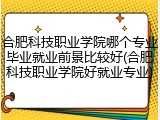 合肥科技职业学院哪个专业毕业就业前景比较好(合肥科技职业学院好就业专业)