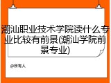 潮汕职业技术学院读什么专业比较有前景(潮汕学院前景专业)