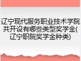 辽宁现代服务职业技术学院共开设有哪些类型奖学金(辽宁职院奖学金种类)