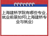 上海建桥学院有哪些专业，就业前景如何(上海建桥专业与就业)