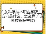 广东科学技术职业学院主攻方向是什么，怎么样(广东科技职院主攻)