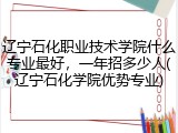 辽宁石化职业技术学院什么专业最好，一年招多少人(辽宁石化学院优势专业)