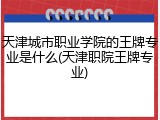 天津城市职业学院的王牌专业是什么(天津职院王牌专业)