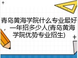 青岛黄海学院什么专业最好，一年招多少人(青岛黄海学院优势专业招生)