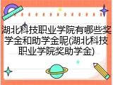 湖北科技职业学院有哪些奖学金和助学金呢(湖北科技职业学院奖助学金)