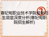 曹妃甸职业技术学院最新招生简章深度分析(曹妃甸职院招生解析)