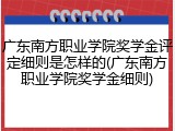 广东南方职业学院奖学金评定细则是怎样的(广东南方职业学院奖学金细则)
