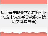 陕西青年职业学院在读期间怎么申请助学贷款(陕青院助学贷款申请)