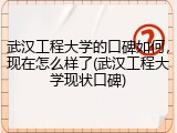 武汉工程大学的口碑如何，现在怎么样了(武汉工程大学现状口碑)