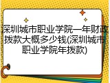 深圳城市职业学院一年财政拨款大概多少钱(深圳城市职业学院年拨款)