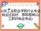 山东工业职业学院什么专业就业比较好，原因是啥(山工职好就业专业)
