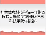 桂林信息科技学院一年财政拨款大概多少钱(桂林信息科技学院年拨款)
