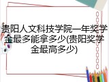 贵阳人文科技学院一年奖学金最多能拿多少(贵阳奖学金最高多少)