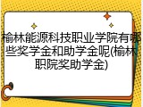 榆林能源科技职业学院有哪些奖学金和助学金呢(榆林职院奖助学金)
