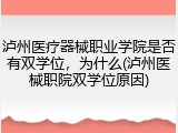 泸州医疗器械职业学院是否有双学位，为什么(泸州医械职院双学位原因)