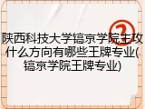 陕西科技大学镐京学院主攻什么方向有哪些王牌专业(镐京学院王牌专业)