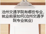 沧州交通学院有哪些专业，就业前景如何(沧州交通学院专业就业)
