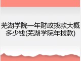 芜湖学院一年财政拨款大概多少钱(芜湖学院年拨款)