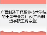 广西制造工程职业技术学院的王牌专业是什么(广西制造学院王牌专业)