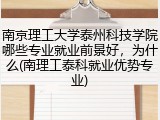 南京理工大学泰州科技学院哪些专业就业前景好,为什么(南理工泰科就业优势专业)