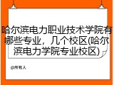 哈尔滨电力职业技术学院有哪些专业，几个校区(哈尔滨电力学院专业校区)