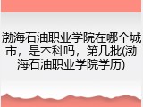 渤海石油职业学院在哪个城市，是本科吗，第几批(渤海石油职业学院学历)