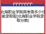 北海职业学院高考需多少分能录取呢(北海职业学院录取分数)