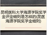 昆明医科大学海源学院奖学金评定细则是怎样的(昆医海源学院奖学金细则)