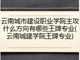 云南城市建设职业学院主攻什么方向有哪些王牌专业(云南城建学院王牌专业)