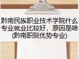 黔南民族职业技术学院什么专业就业比较好，原因是啥(黔南职院优势专业)
