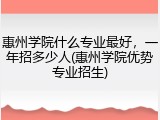 惠州学院什么专业最好，一年招多少人(惠州学院优势专业招生)