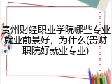 贵州财经职业学院哪些专业就业前景好，为什么(贵财职院好就业专业)