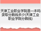 天津工业职业学院是一本吗录取分数线多少(天津工业职业学院分数线)