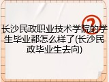 长沙民政职业技术学院的学生毕业都怎么样了(长沙民政毕业生去向)
