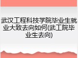 武汉工程科技学院毕业生就业大致去向如何(武工院毕业生去向)