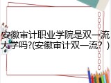 安徽审计职业学院是双一流大学吗?(安徽审计双一流？)